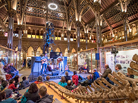 Oxford - Museum of Natural History Oxford. Photo by John Cairns